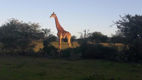 Glen Boyd Game Reserve